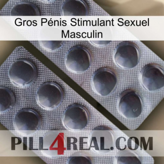 Gros Pénis Stimulant Sexuel Masculin 31